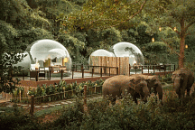  Enjoy Unique Close-to-Nature Experience at Anantara Golden Triangle Elephant Camp & Resort!